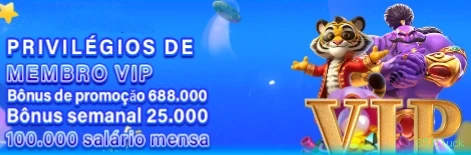 Checklist para avaliar a plataforma 8531luck